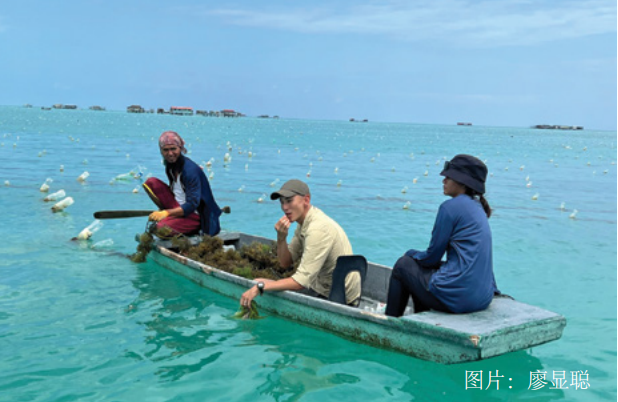 应对海平面上升的循环经济战略